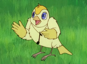 Cicci the bird.png