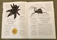 Creepy Crawlies (Over 100 Questions and Answers to Things You Want to Know) (1)