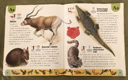 Endangered Animals Dictionary (1)