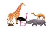 Giraffe, Rhino, Snake, Ostrich, & Camel