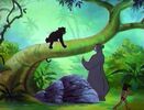 Jungle-cubs-volume02-baloo-mowgli-and-bagheera02
