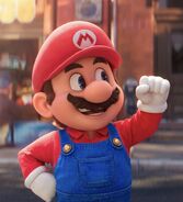 MarioTSMBTM.jpeg (380 KB) Mario as Hamm