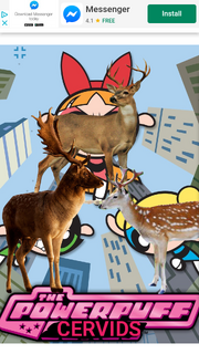 PPCRVDS1998 Poster.png