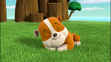 Paw patrol rubble sleeping