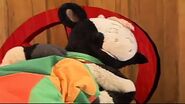 Wilbur resting in Wilbur's Nap