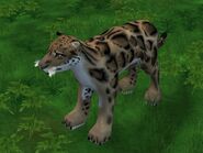 Zt2-cloudedleopard