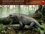 Anteosaurus as Mapusaurus