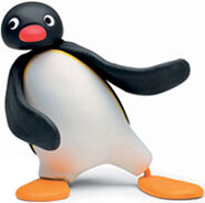 Pingu as Pablo