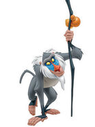 Rafiki as Doc