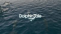 Dolphin Tale (© 2011 Warner Bros)