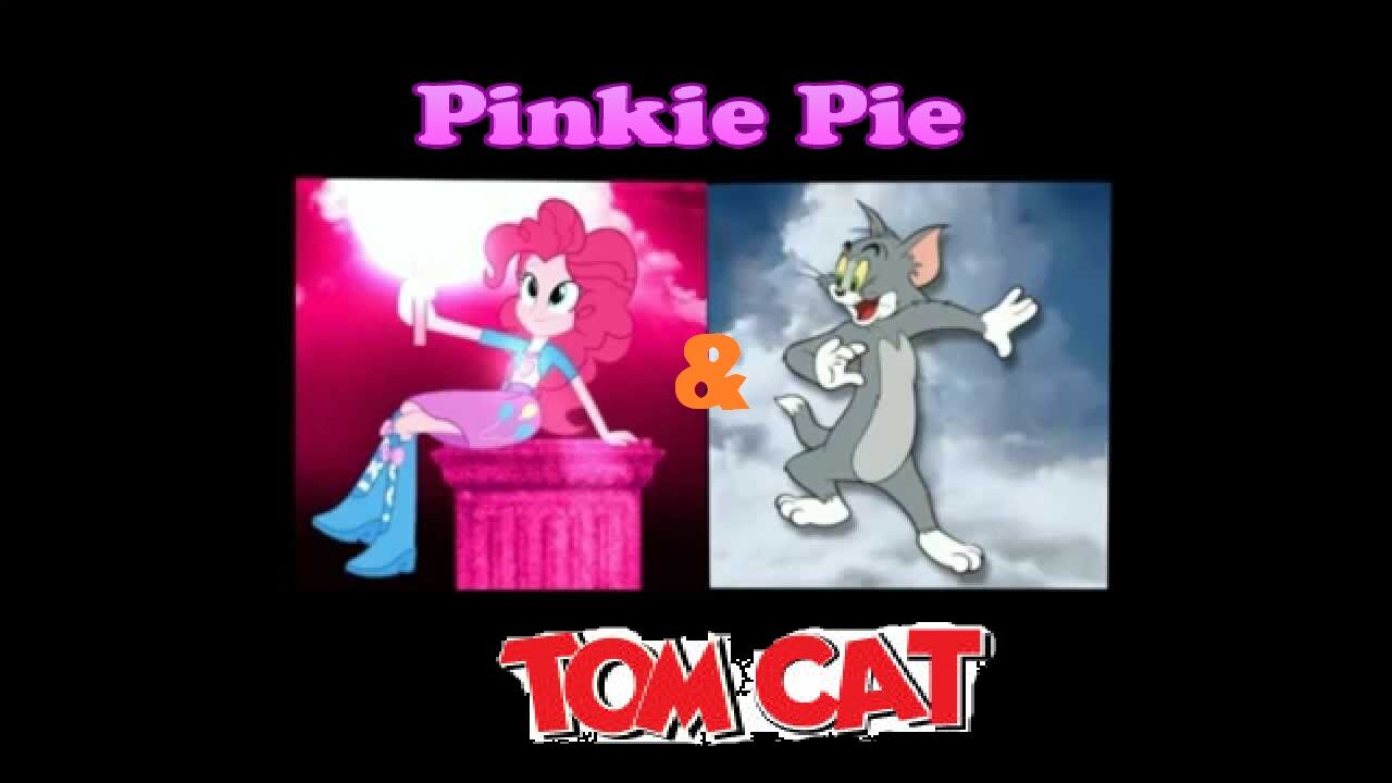 pinkie pie cat