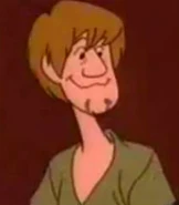 Shaggy Rogers in Johnny Bravo