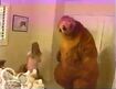 Bear and a kid dance the Morning Mambo