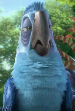 Eduardo Rio 2 The Parody Wiki Fandom