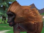 Gelada-zootycoon2018