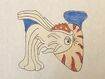 Chambered Nautilus