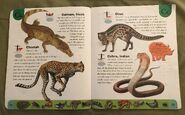 Deadly Creatures Dictionary (4)