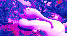 Ezgif.com-gif-maker (51)