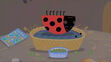 Gaston the Ladybird sleeping