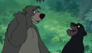 Jungle-book-disneyscreencaps.com-8972.jpg (291 KB)