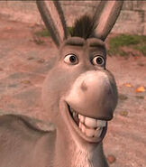 Donkey as King Juilan