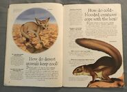 Desert Animals (Over 100 Questions and Answers to Things You Want to Know) (1)