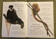 Endangered Animals (Over 100 Questions and Answers to Things You Want to Know) (2)