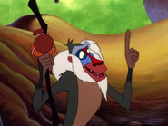 GM Rafiki5