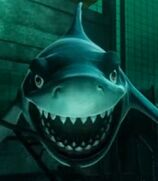 Troy as Mr. Shark