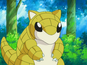 Mira Sandshrew.png