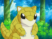 Mira Sandshrew