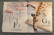 The A to Z Book of Wild Animals (6)