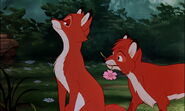 Fox-and-the-hound-disneyscreencaps.com-7477