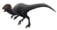 Heterodontosaurus as Ash