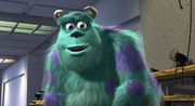 Sulley as Fear