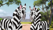 The-golden-zebra (136)