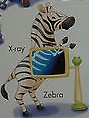 X ray Zebra