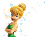 Tinker Bell The Fairy (Disney Peter Pan)