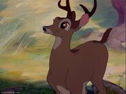 Adult Bambi as Khan
