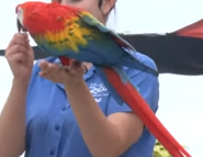 Columbus Zoo Scarlet Macaw