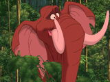 Tantor