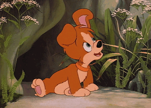 Tiny the Dog.gif