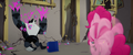 Storm Guard falls over with cupcakes all over him MLPTM