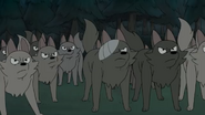 Wolves as Bat Dogs