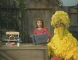 Ernestine and Big Bird are asleep as Gina continues to go through Ernie and Bert's photo album
