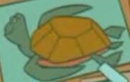 Stanley Hawksbill Sea Turtle