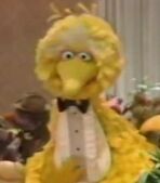 Big-bird-the-muppets-a-celebration-of-30-years-6.53