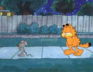Garfield3