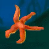 Starfish-jumpstart-preschool