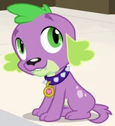 435px-Spike ID EG.png (109 KB) Spike's dog form, as he appears in My Little Pony Equestria Girls